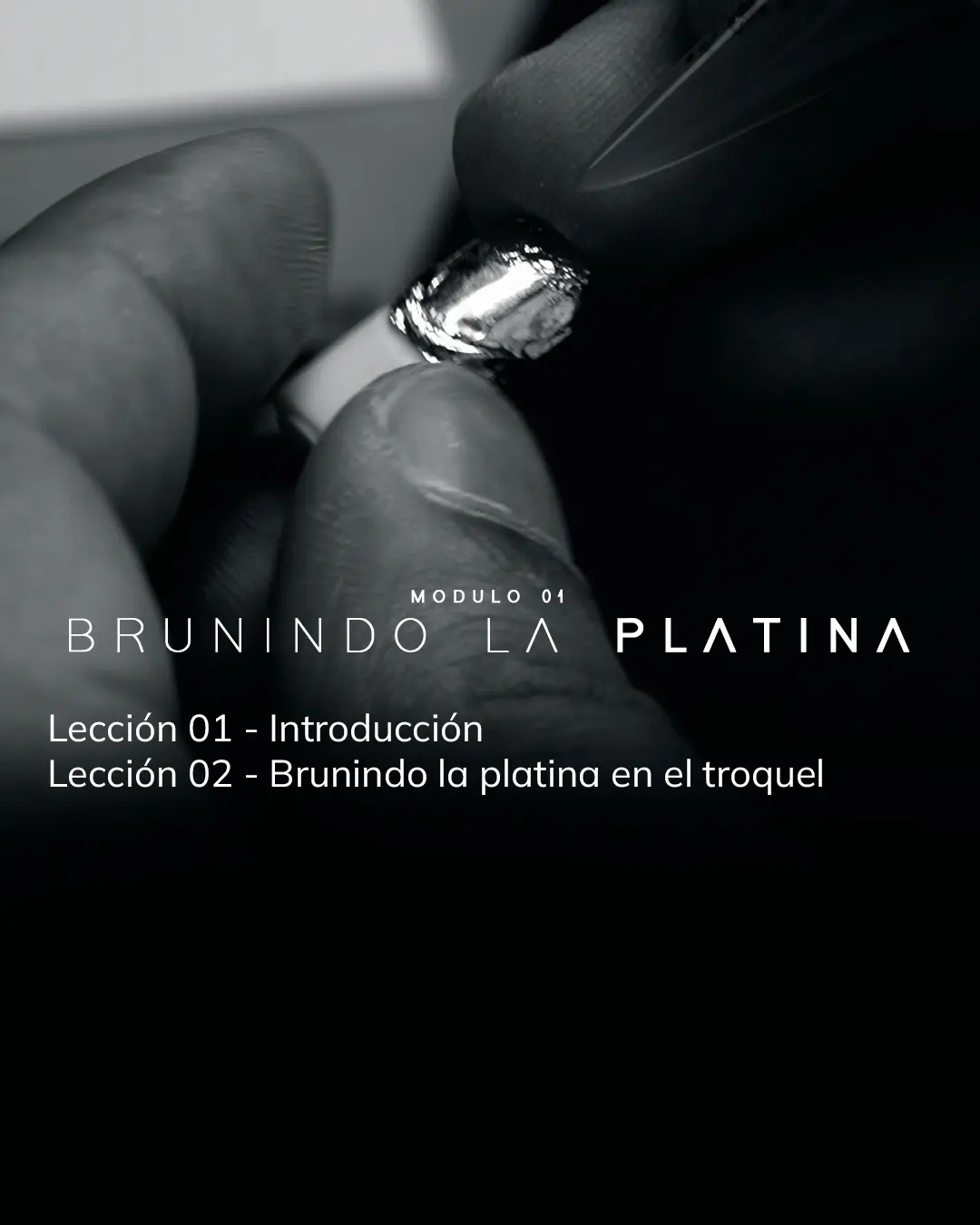 Módulo 01 - PLATINA (1)