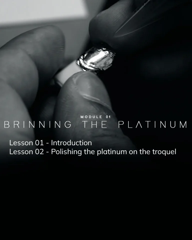 Módulo 01 - PLATINA (2)